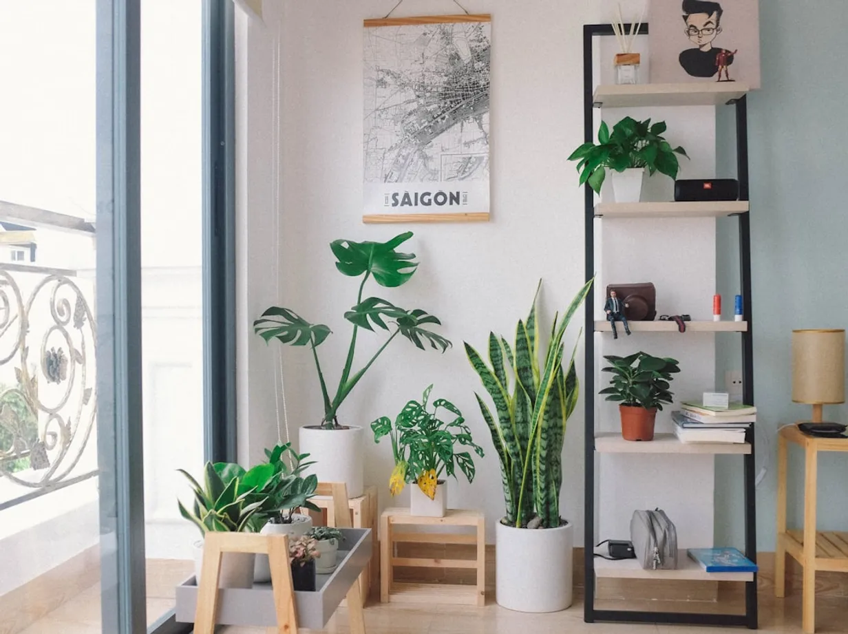 Using Artificial Plants in Dark Corners of Your Home to Brighten the VibeIllustration