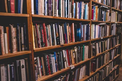 Crafting a Cozy Minimalist Reading NookIllustration