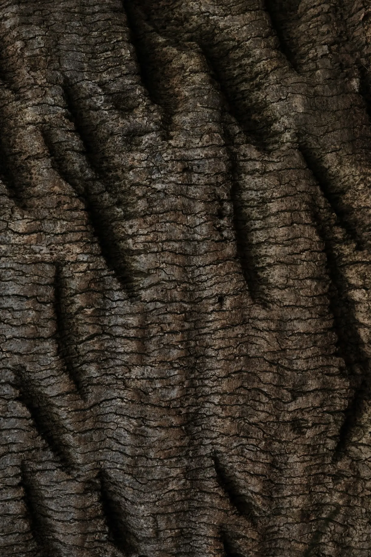 Integrating Natural Textures in Minimalist Home DecorIllustration